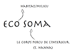 ecosoma8